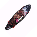 PENNYBOARD LEON