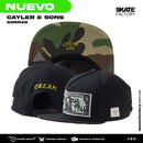 GORRA PLANA PARA HOMBRE CAYLER & SONS DOLLAR