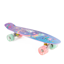 PENNYBOARD CAT SPACE