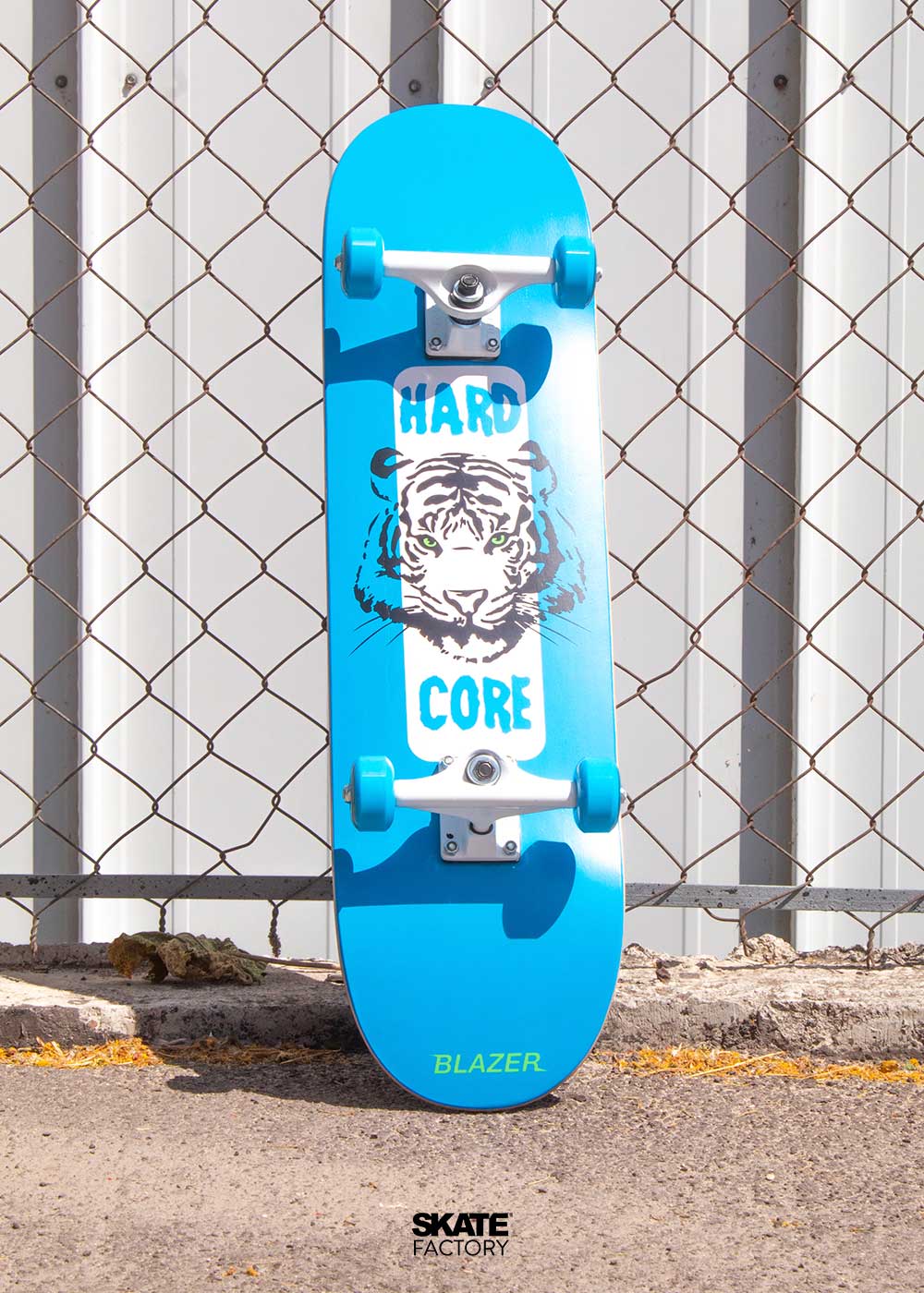 SKATEBOARD TIGRE – Skate Factory