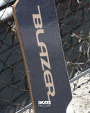 MINI LONGBOARD PLAMERA