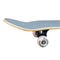 SKATEBOARD MARIACHI