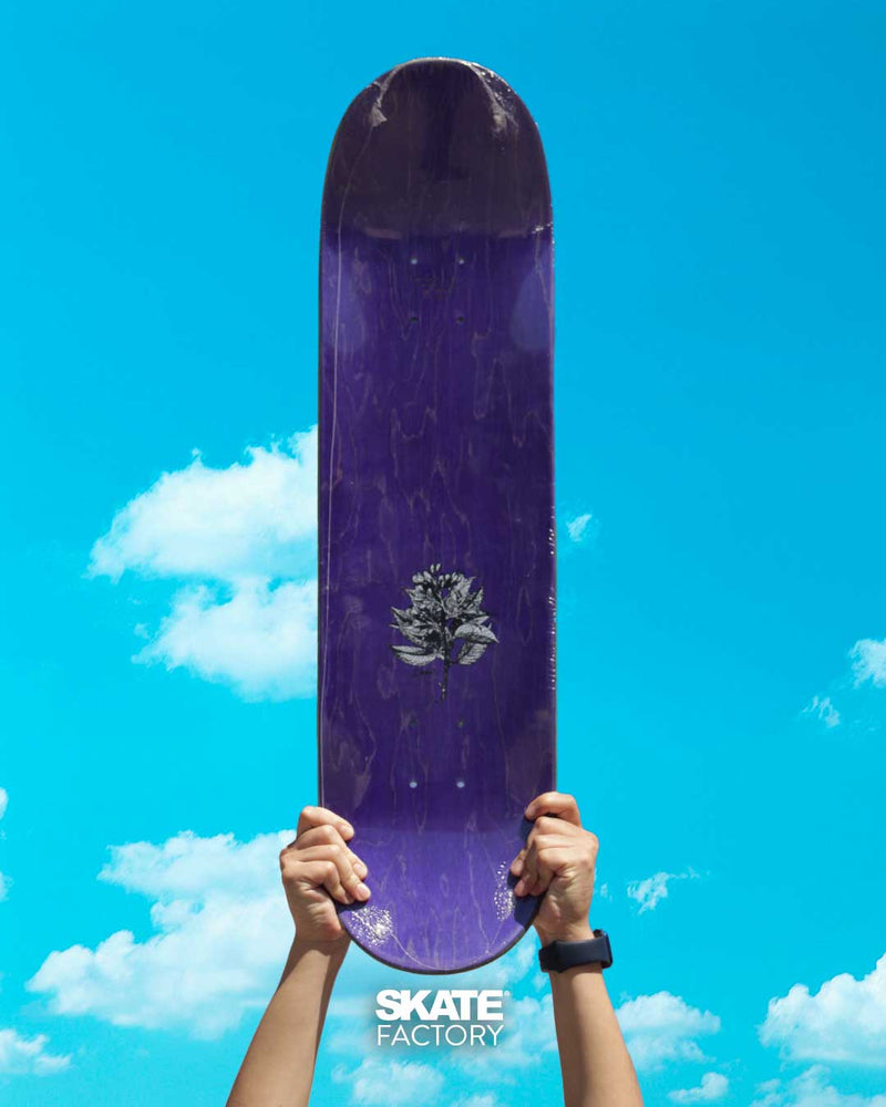 TABLA PARA SKATEBOARDING COPAL MORADA