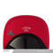 GORRA  CAYLER & SONS SAVE BROOKLYN