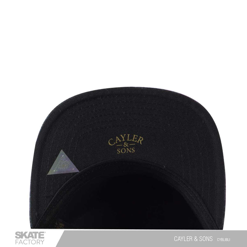 GORRA PLANA PARA HOMBRE CAYLER & SONS MONEY