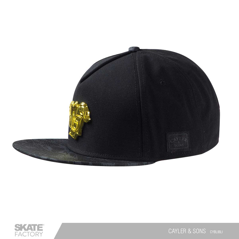 GORRA PLANA PARA HOMBRE CAYLER SONS MONEY Skate Factory