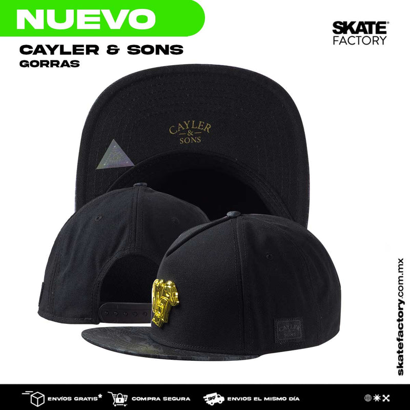 GORRA PLANA PARA HOMBRE CAYLER & SONS MONEY