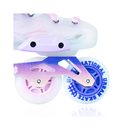 PATINES CHICAGO IUS