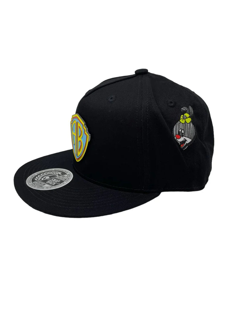 GORRA PLANA ANTIFASHION SNAPBACK ANTI BROS