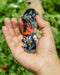 FINGERBOARD  LLAMAS