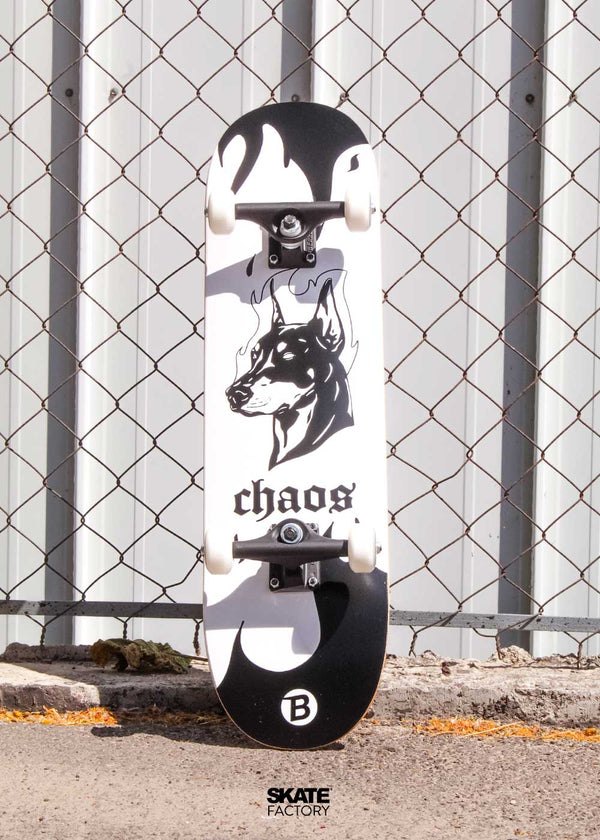SKATEBOARD DOBERMAN